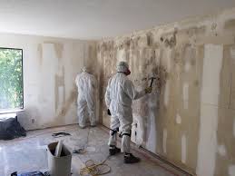 Best Dehumidification Services  in Eaton Estates, OH